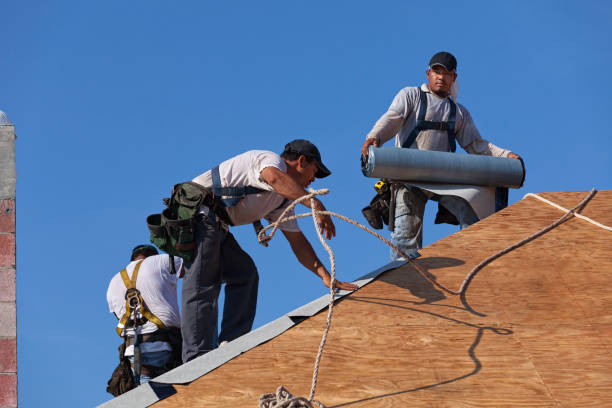 Best New Roof Installation  in North Muskegon, MI