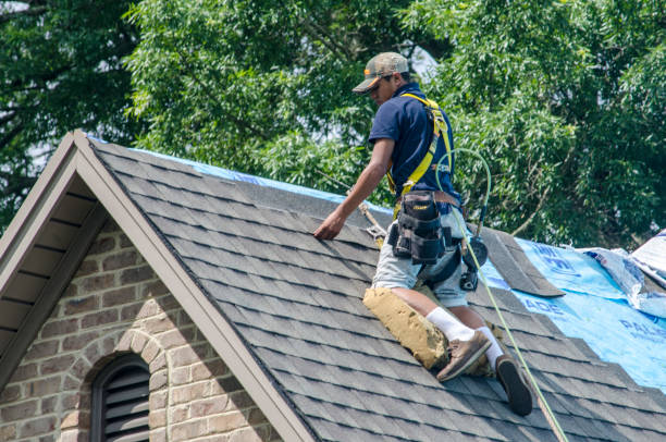 Best Residential Roofing Contractor  in North Muskegon, MI